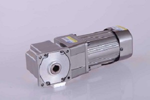 6W-400W right angle gear motor