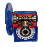 Worm gearmotor RV series